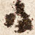 preview of Interactive Tea Map